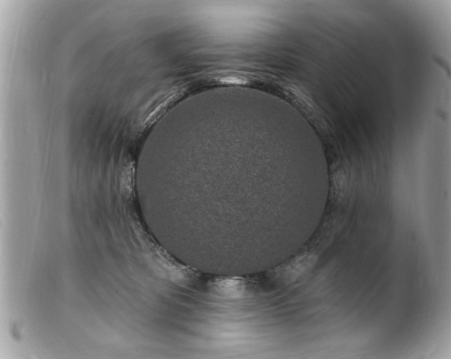 X0000100210325200805301331