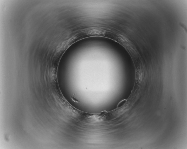 X0000100210326200805301331