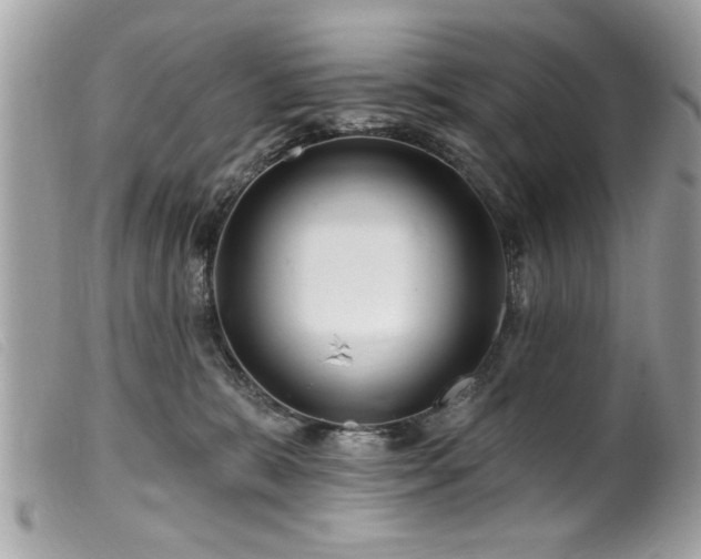 X0000100210327200805301331