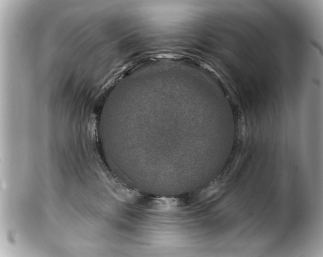 X0000100210328200805301331