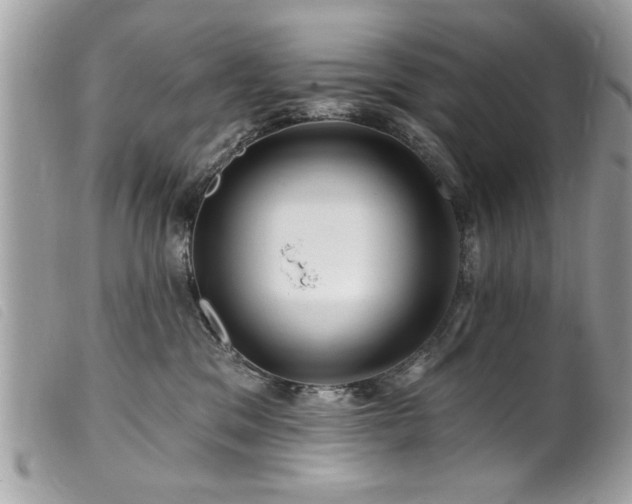 X0000100210329200805301331