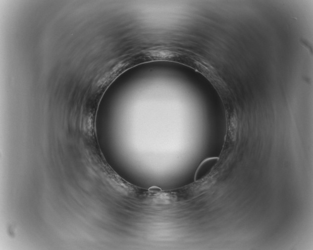 X0000100210330200805301331