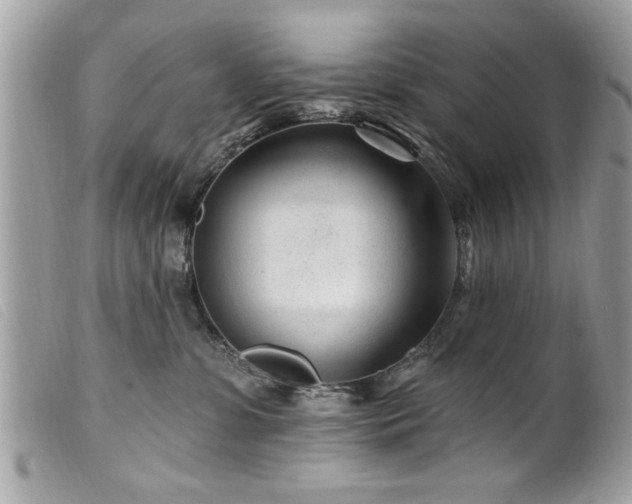 X0000100210331200805301331