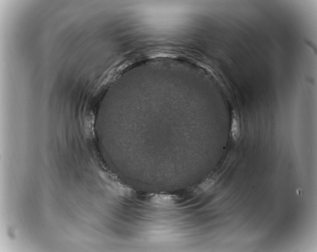 X0000100210332200805301331