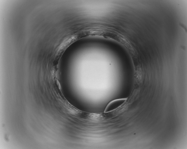 X0000100210333200805301331