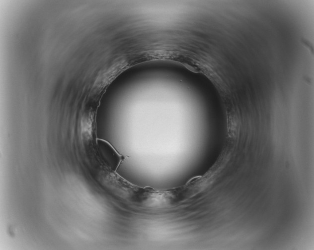 X0000100210334200805301331