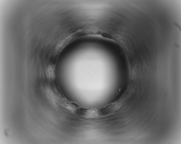 X0000100210335200805301331