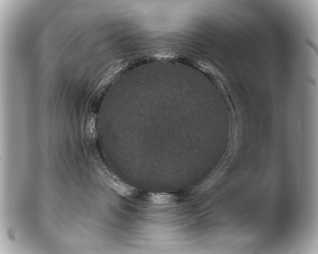 X0000100210336200805301331