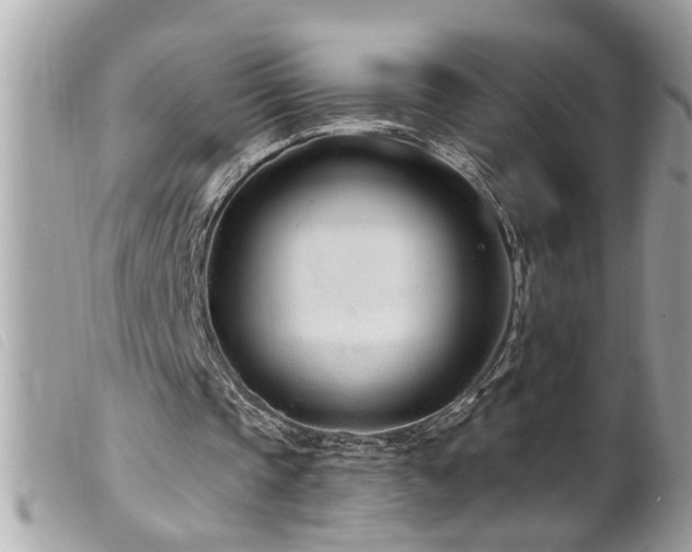 X0000100210337200805301330