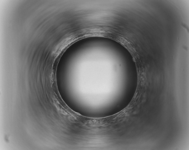 X0000100210338200805301330