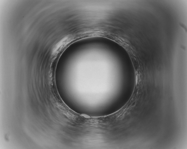 X0000100210339200805301330