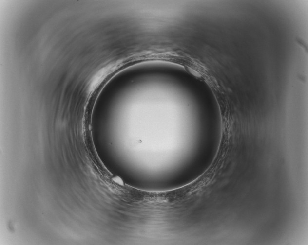 X0000100210340200805301330