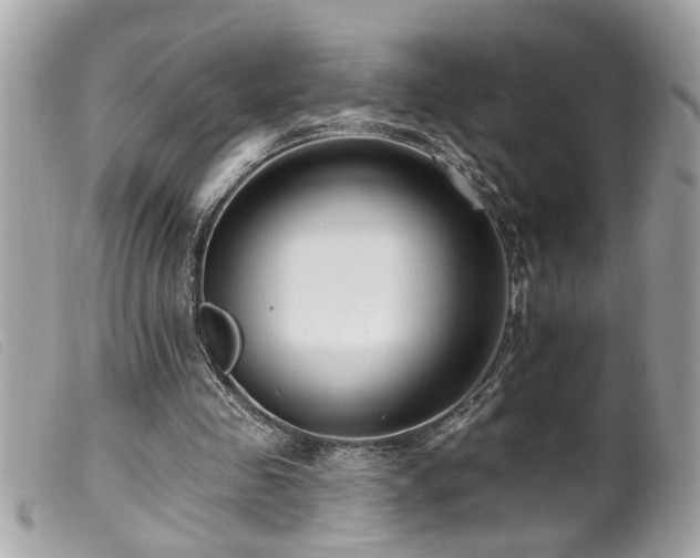 X0000100210341200805301330