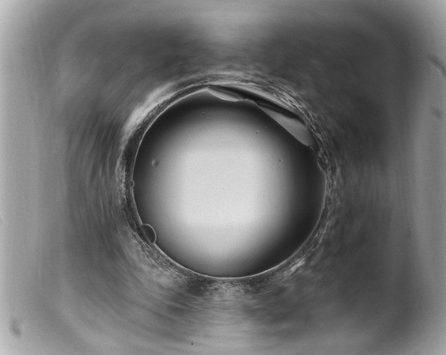 X0000100210343200805301330