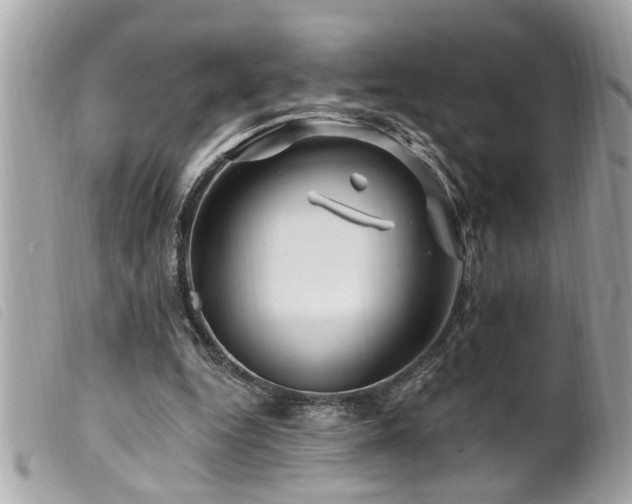 X0000100210344200805301330