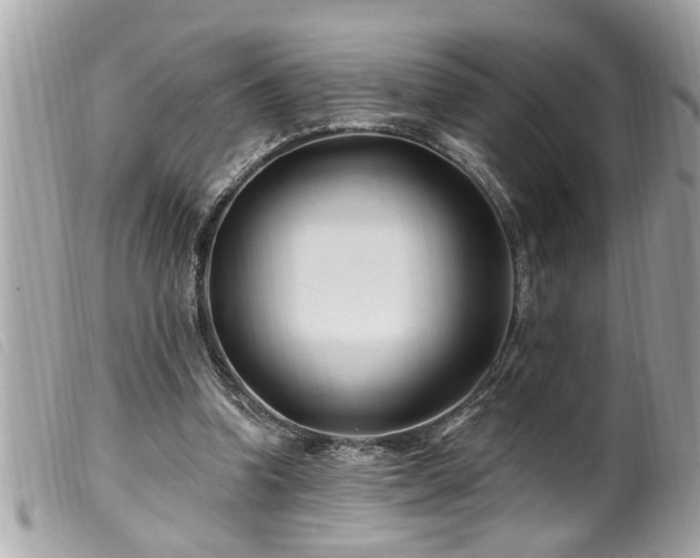 X0000100210346200805301330