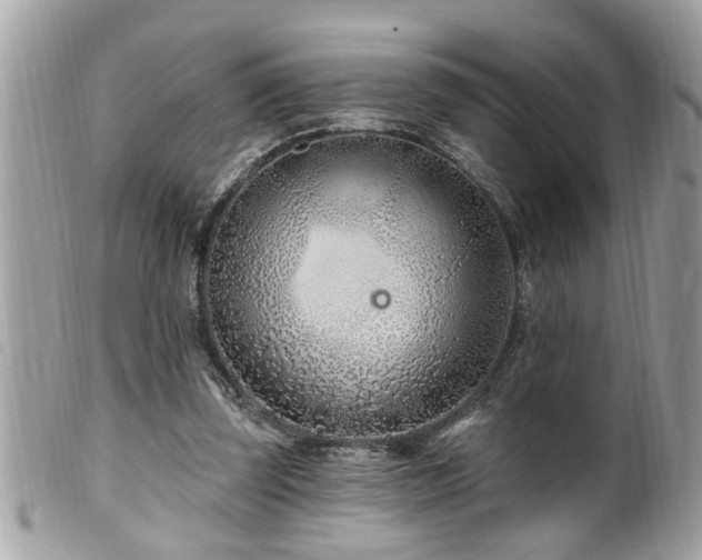 X0000100210347200805301330