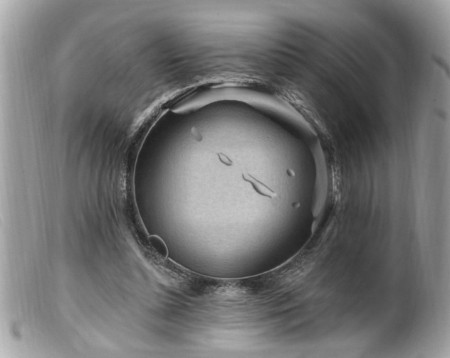 X0000100210348200805301330