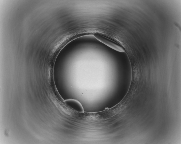 X0000100210350200805301330