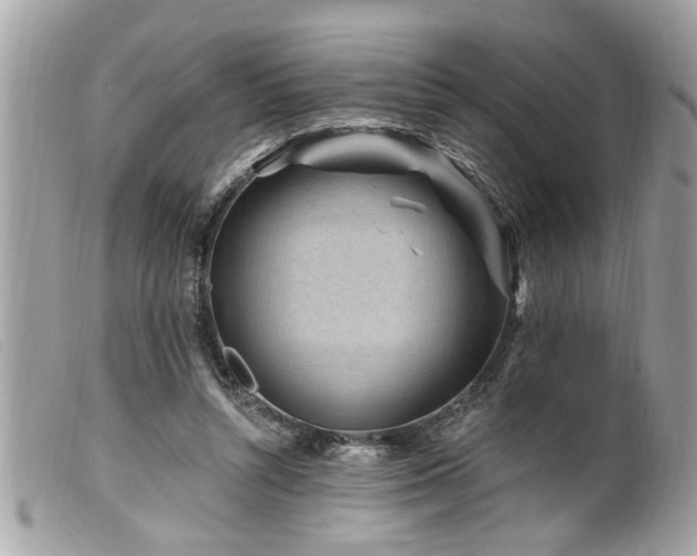 X0000100210352200805301330