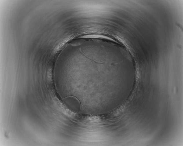 X0000100210353200805301330