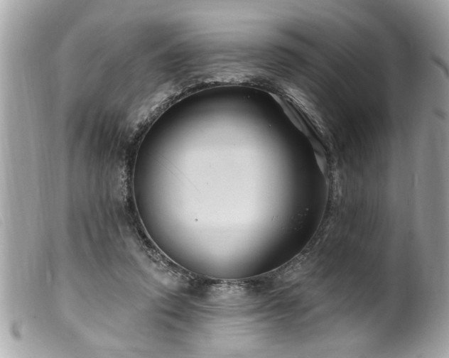 X0000100210354200805301330