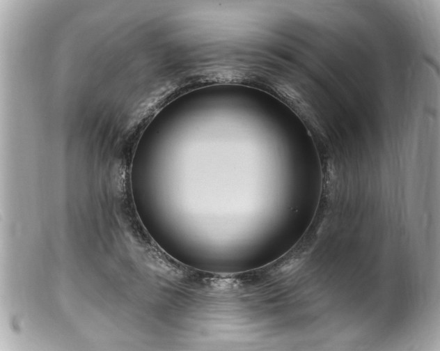 X0000100210355200805301330