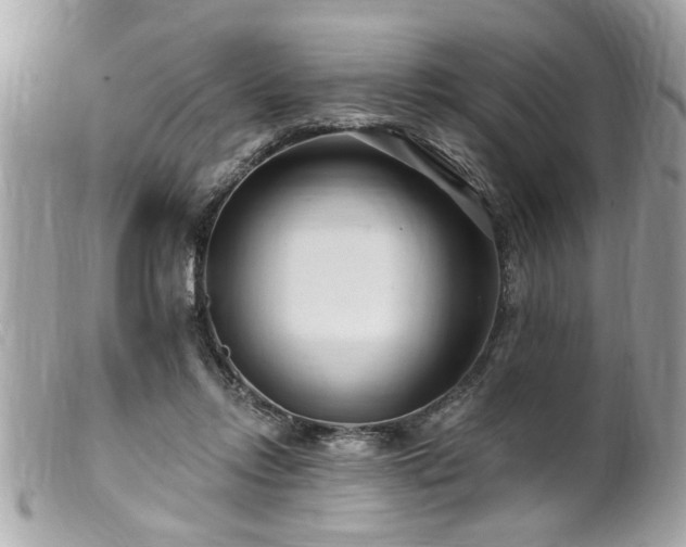 X0000100210358200805301330