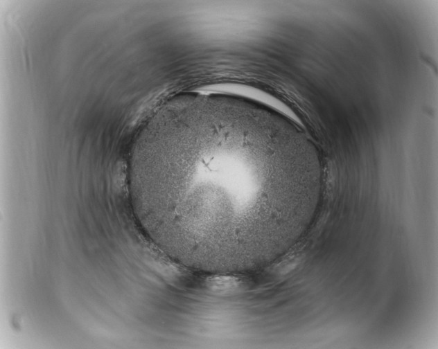 X0000100210361200805301330