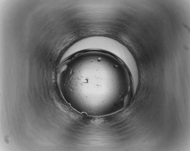 X0000100210362200805301330