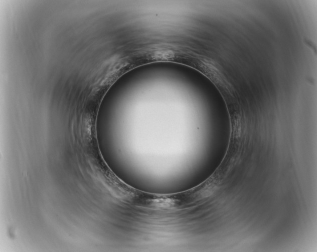 X0000100210363200805301330