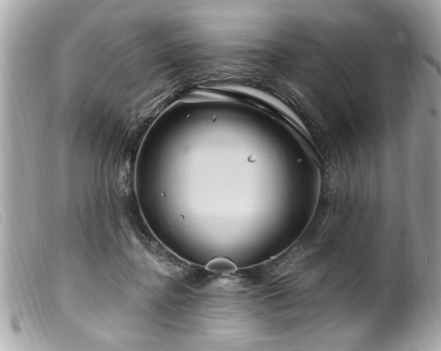 X0000100210364200805301330