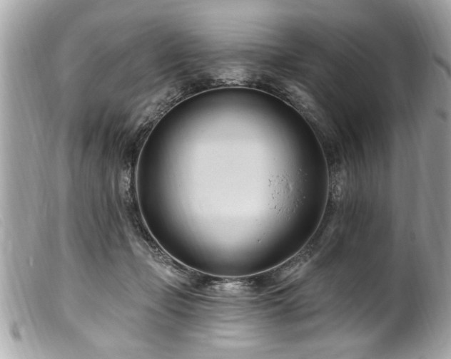 X0000100210365200805301330