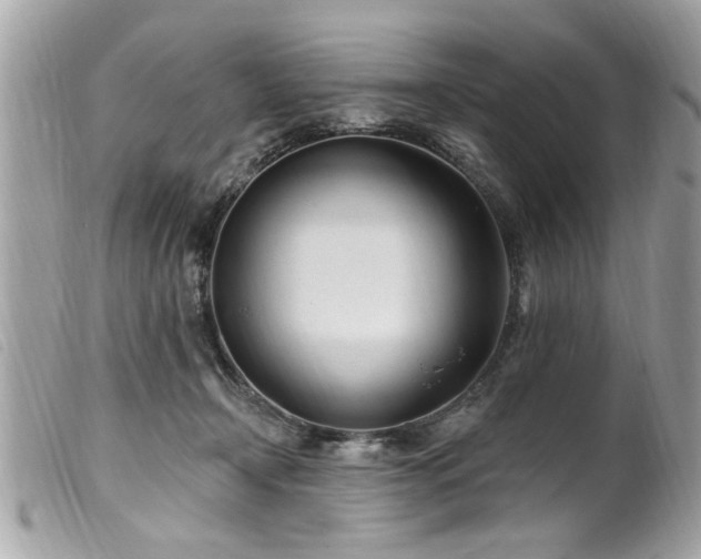 X0000100210366200805301331