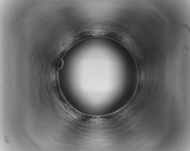 X0000100210367200805301331