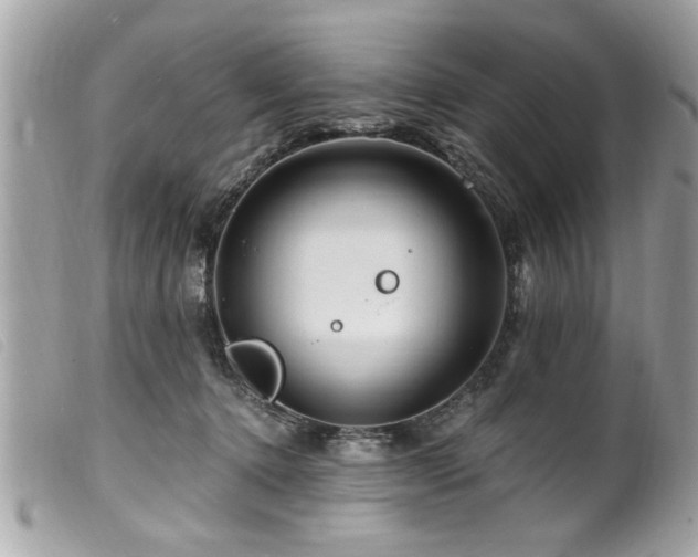 X0000100210368200805301331