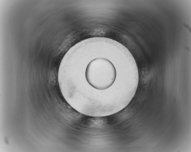 X0000100210370200805301331