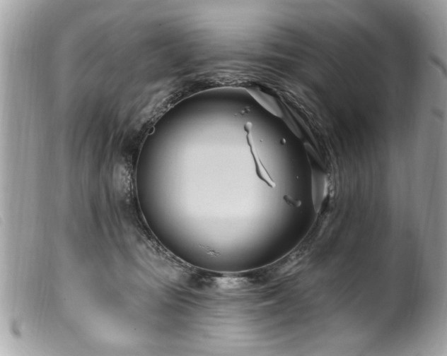 X0000100210371200805301331