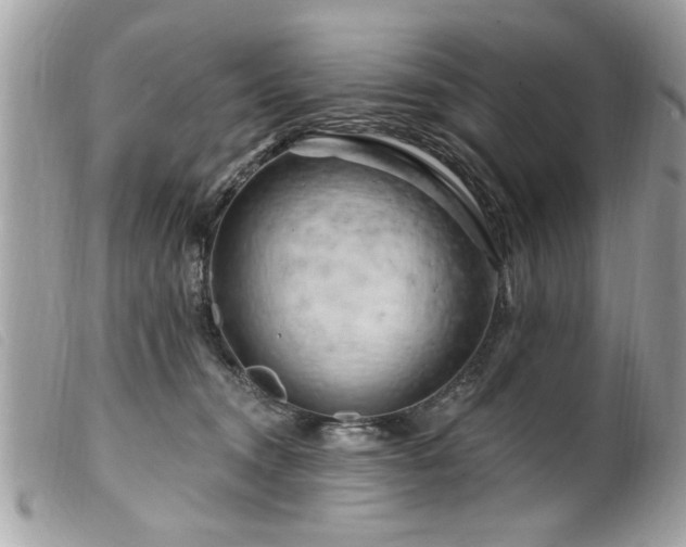 X0000100210372200805301331