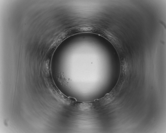 X0000100210373200805301331