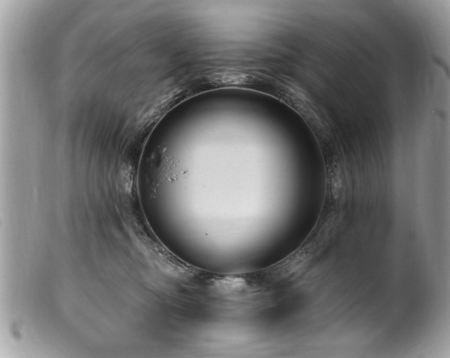 X0000100210374200805301331