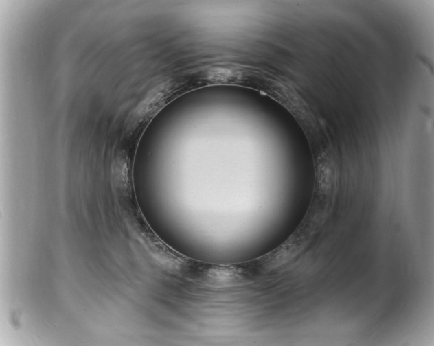 X0000100210375200805301331