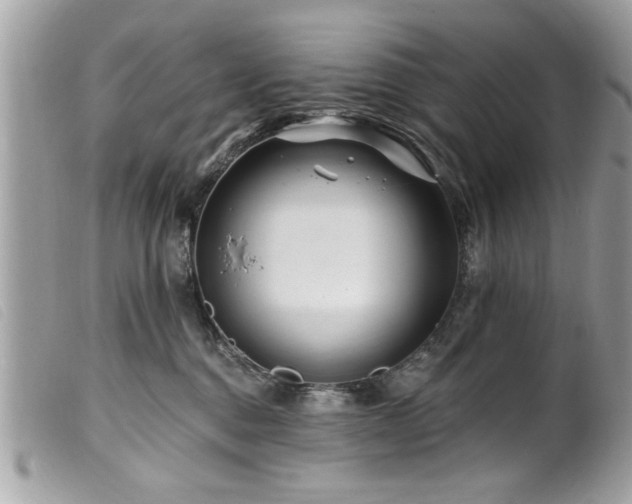 X0000100210376200805301331