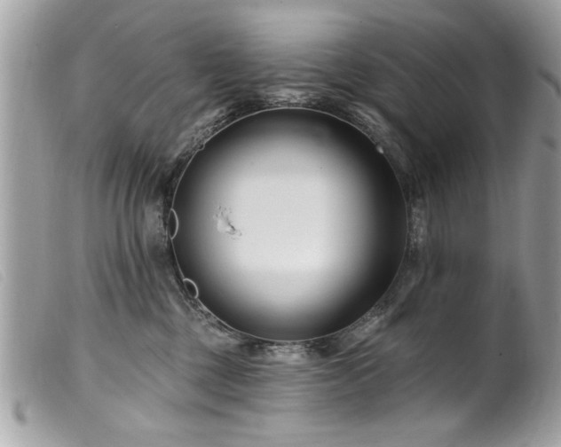 X0000100210377200805301331