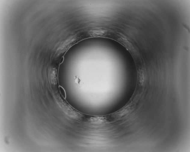 X0000100210378200805301331