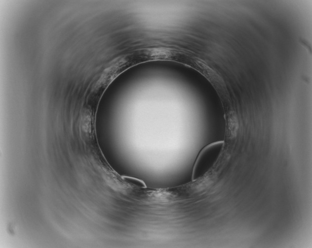 X0000100210379200805301331