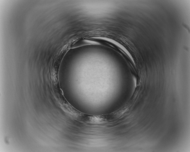 X0000100210380200805301331