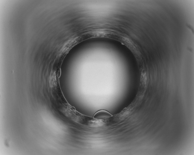 X0000100210381200805301331