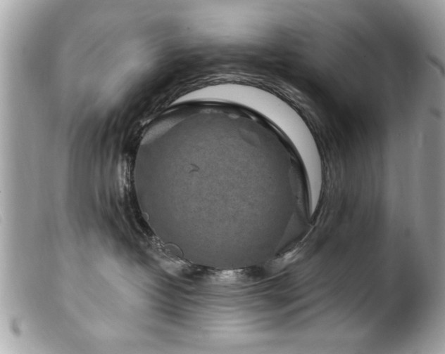 X0000100210382200805301331