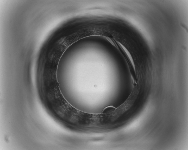 X0000100210383200805301331